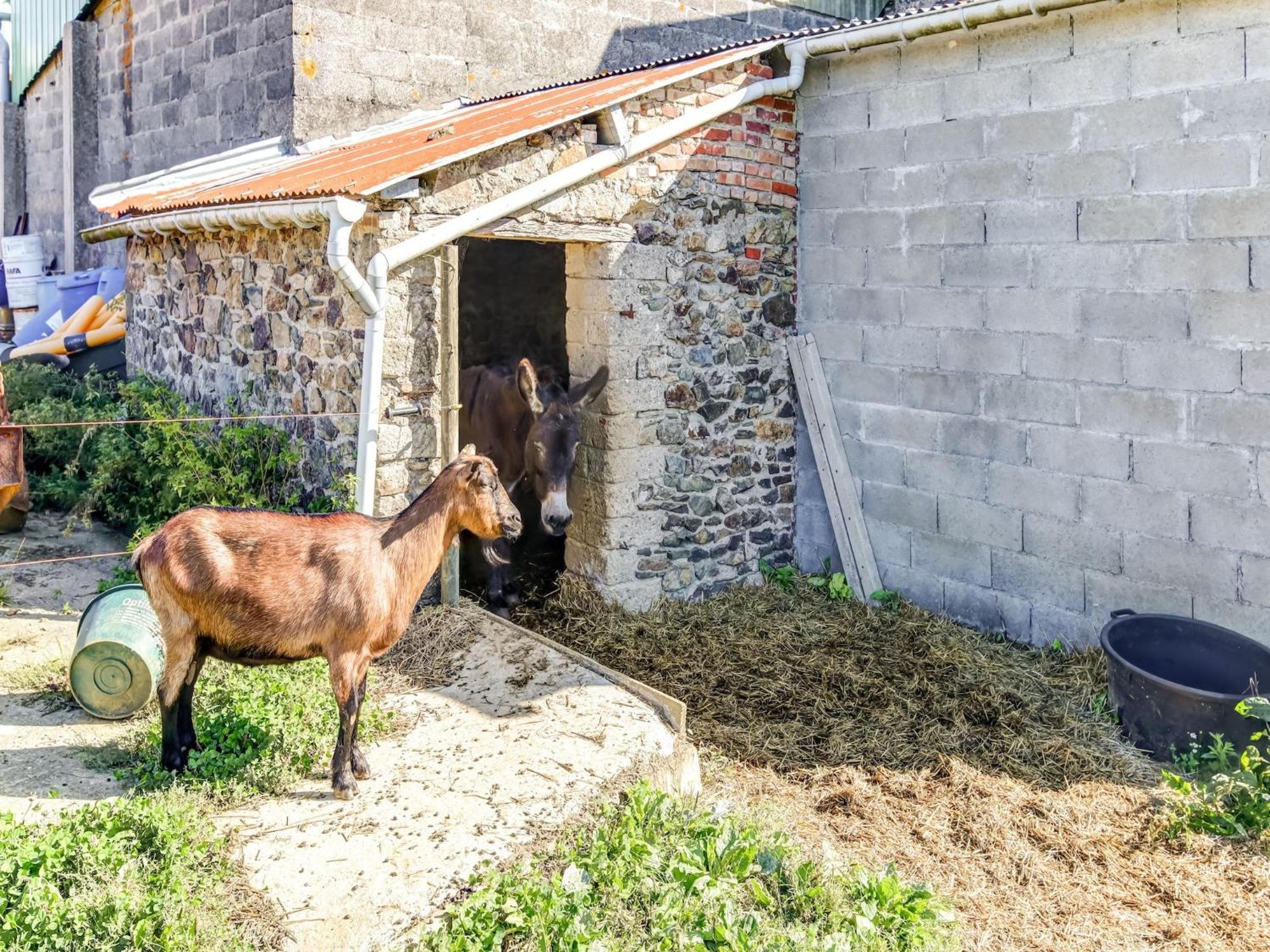 Holiday Home With Garden In Brainville Экстерьер фото